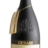 Cesari della Valpolicella Amarone