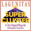 Lagunitas Super Cluster IPA 12oz 6pk cn
