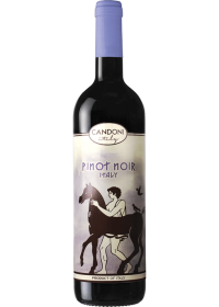 Candoni Organic Pinot Noir 750ml