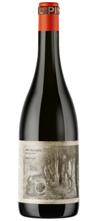 El Pino Club Sea Floored Pinot Noir