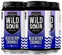Destihl Blueberry Crumble Sour 12oz 4pk Cn