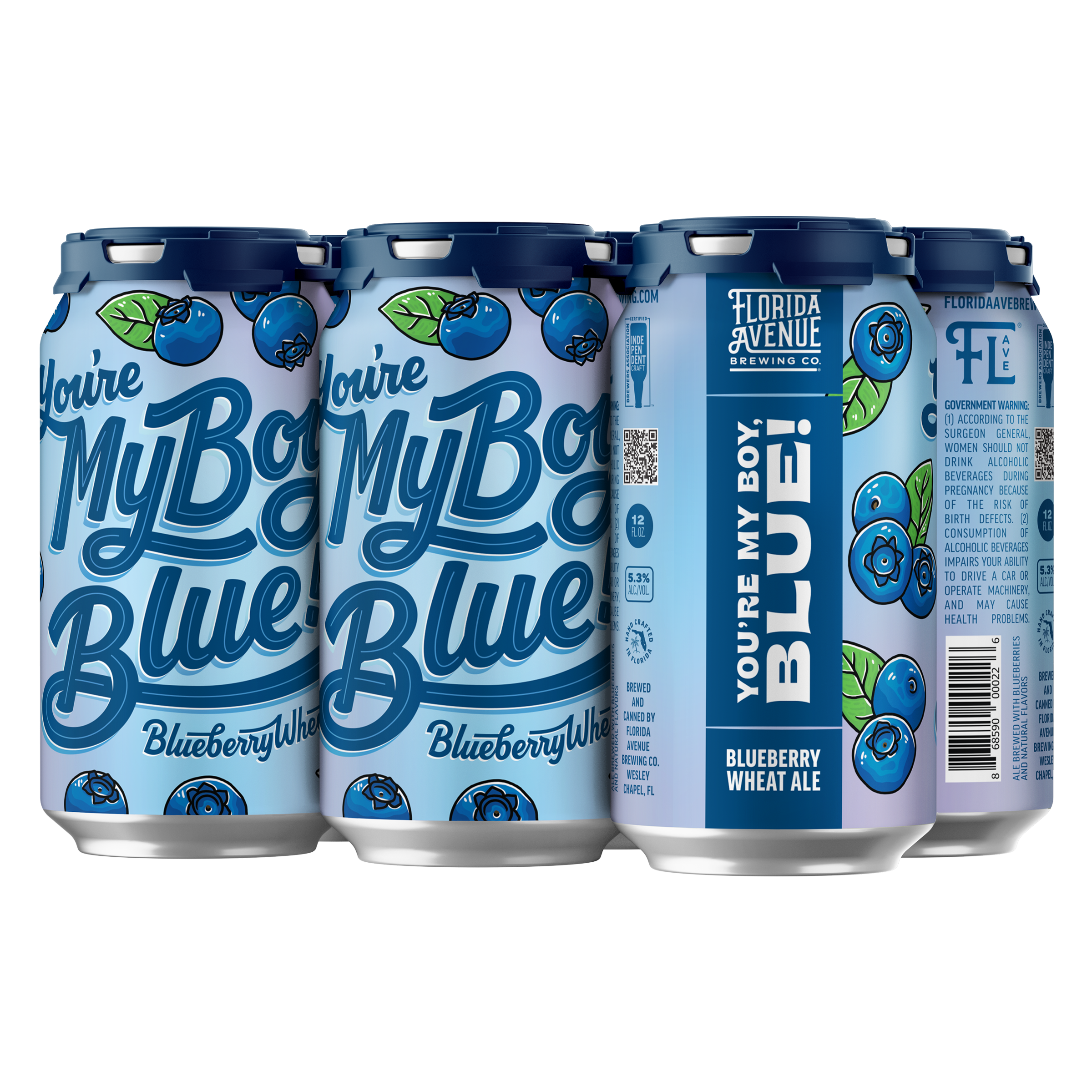FLA YoureMyBoyBlue 12oz6PKMock