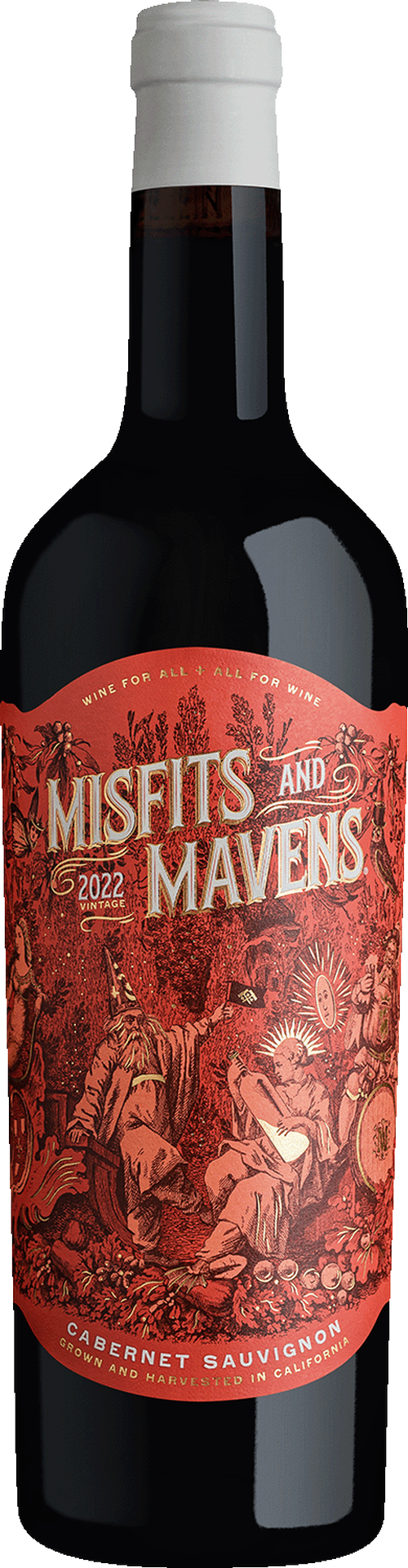 Misfits and Mavens Cabernet 750ml