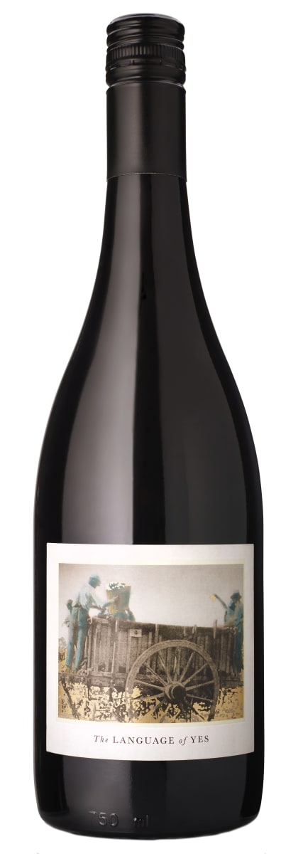The Language of Yes Syrah