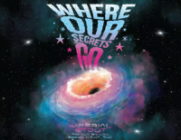 voodoo where our secrets go imperial stout 500ml btl